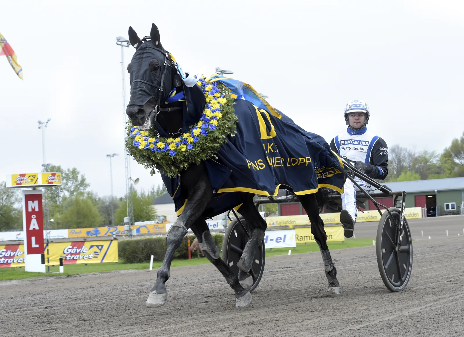 Magnus A Djuse kör Gareth Boko i segerdefilering efter H.K.H. Prins Daniels Lopp på Gävletravet 2021
